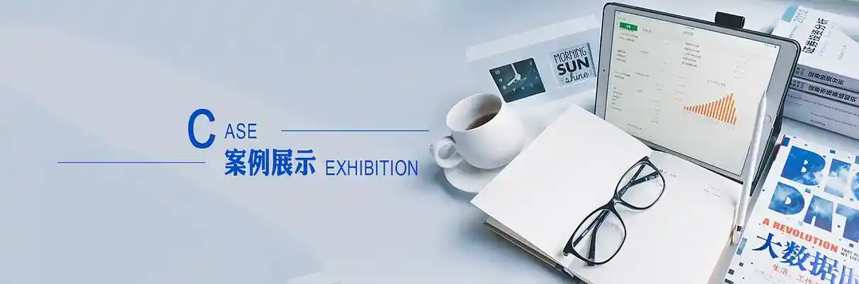 西市区软件开发